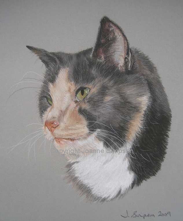 Cat portrait by Joanne Simpson
